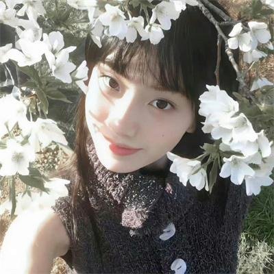 八月桂花香